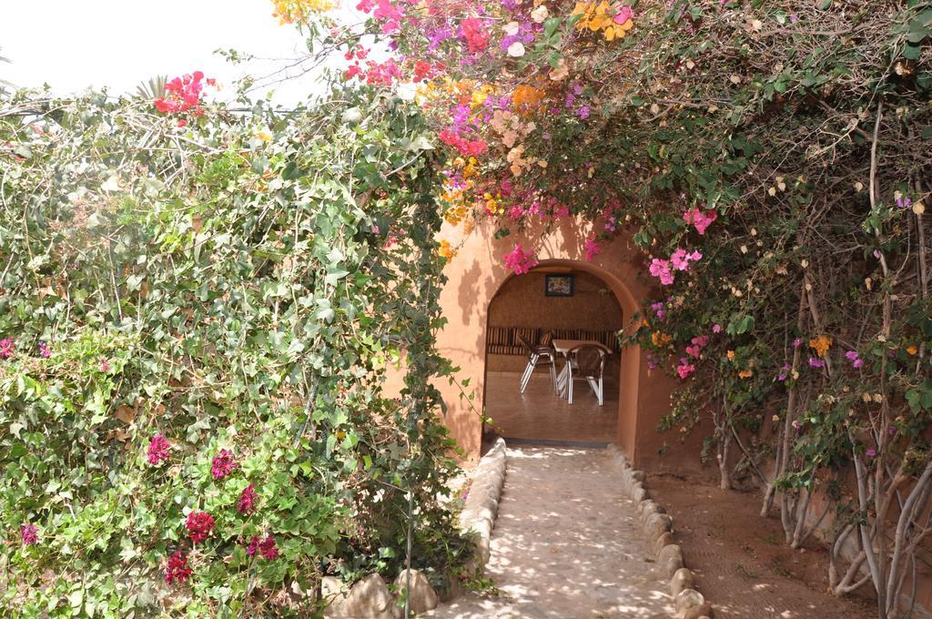 La Palmeraie De Massa Zaouit Massa Екстериор снимка